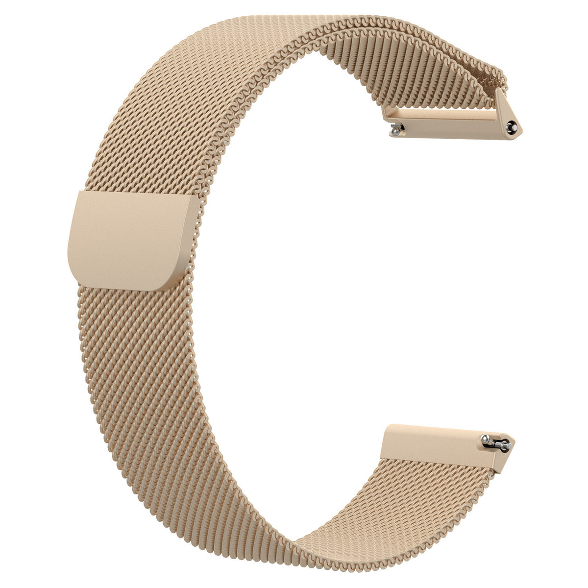 Fitbit Versa Lite Replacement Strap